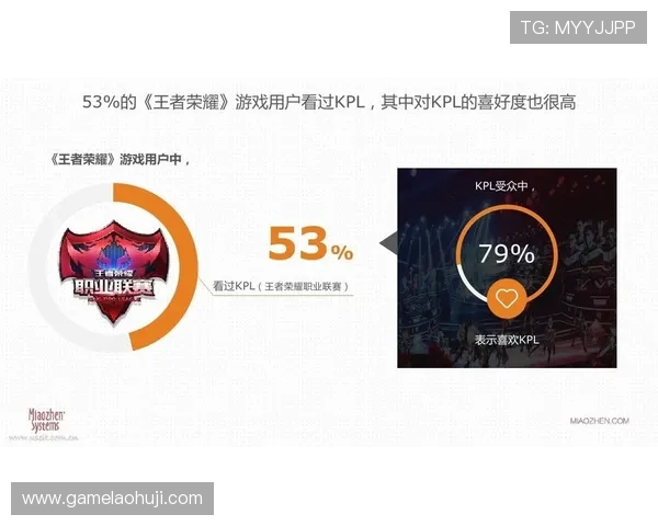 多样化视讯游戏官网玩法介绍，满足不同玩家的多重娱乐需求